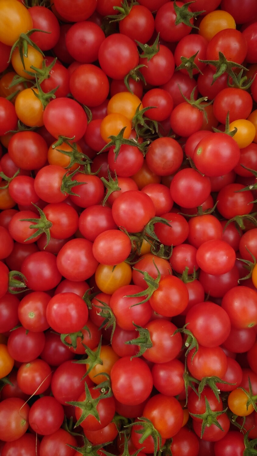Tomates cerises bio (250g)