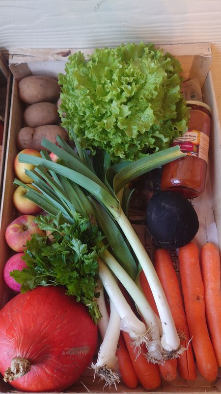 Semaine 11 panier Bio M