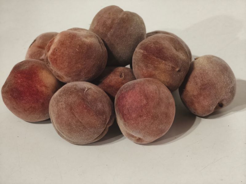 Pêches de vigne bio (kg)