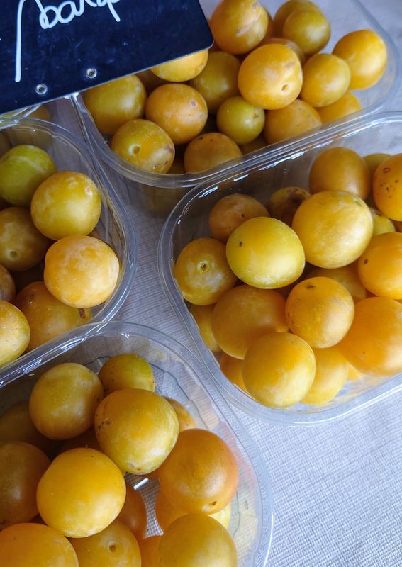 Mirabelles bio (barquette)