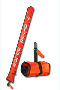 Two (2) CO2 60 gr. cylinders with sens07tube - International shipping