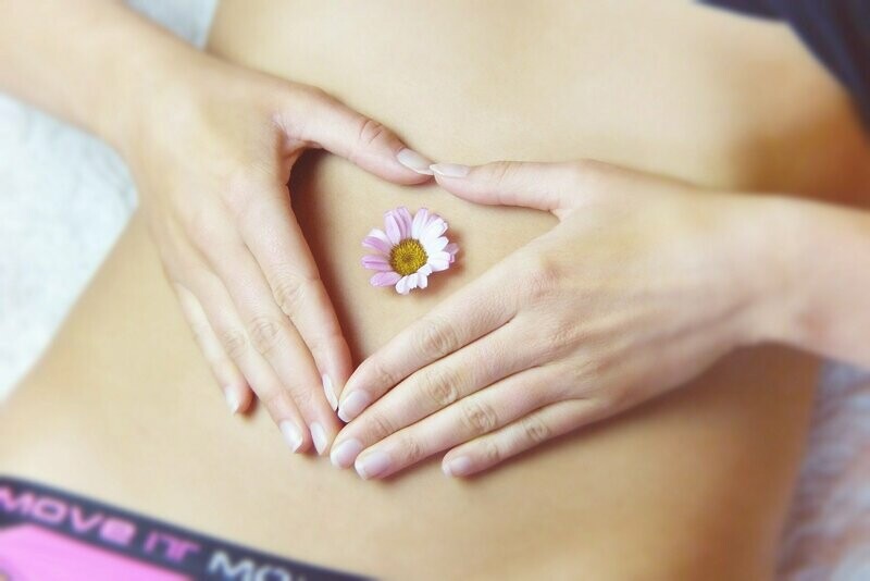 The Womb Wellness Guide - Digital Copy