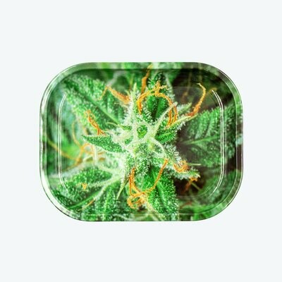 V Syndicate Strains: AK-47 מגש גלגול מתכתי קטן\בנוני דגם V Syndicate Strains: AK-47 מגש גלגול מתכתי קטן\בנוני דגם