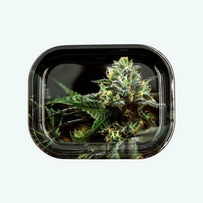V Syndicate Strains: OG Kush מגש גלגול מתכתי קטן\בנוני דגם V Syndicate Strains: OG Kush מגש גלגול מתכתי קטן\בנוני דגם