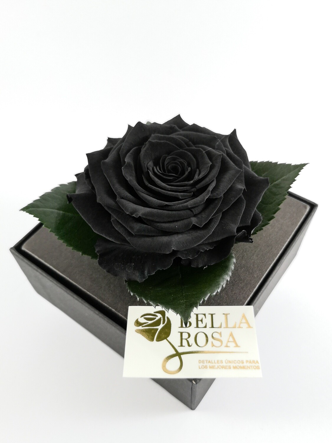 Rosa Preservada Negra Caja Acrílica