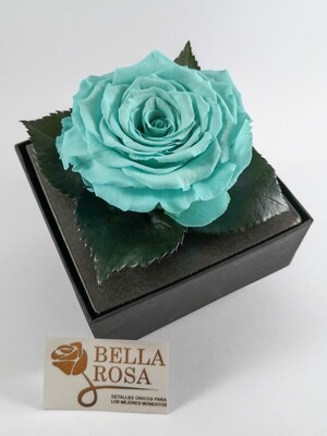 Rosa Preservada Celeste Caja Acrílica