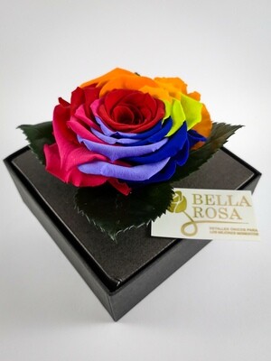 Rosa Preservada Arcoíris Caja Acrílica