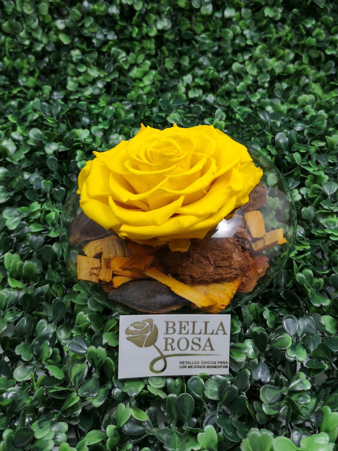Rosa Preservada Amarilla en Base de Vidrio
