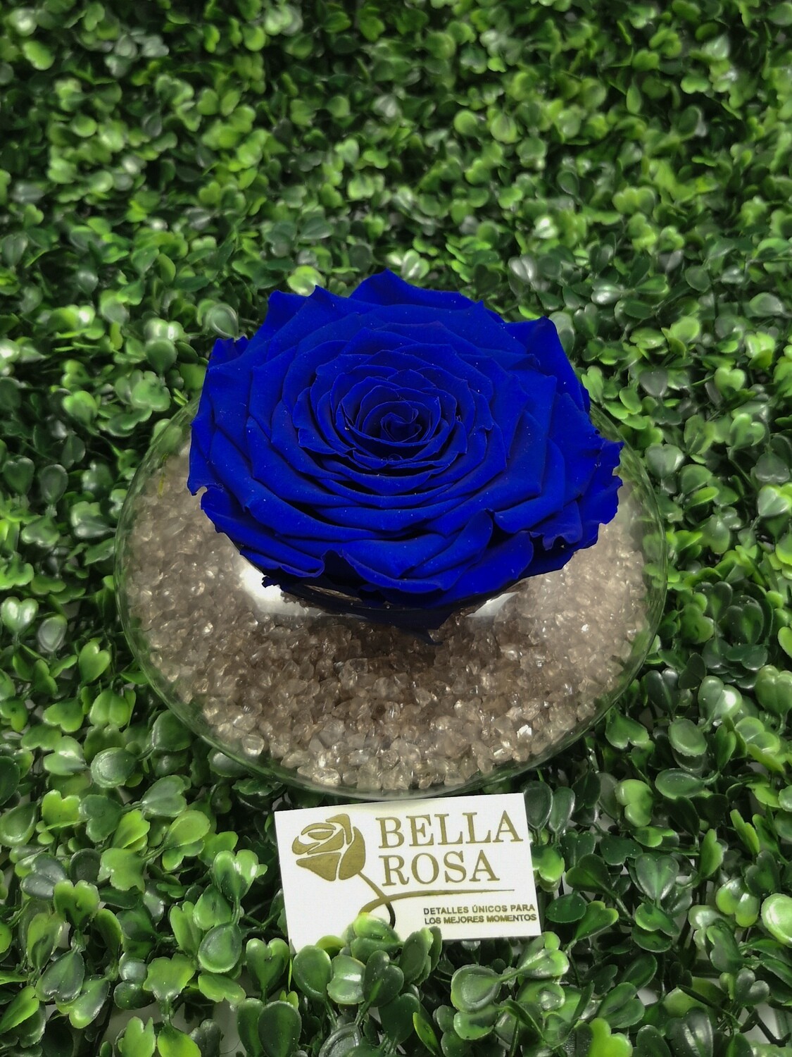 Rosa Preservada Azul en Base de Vidrio