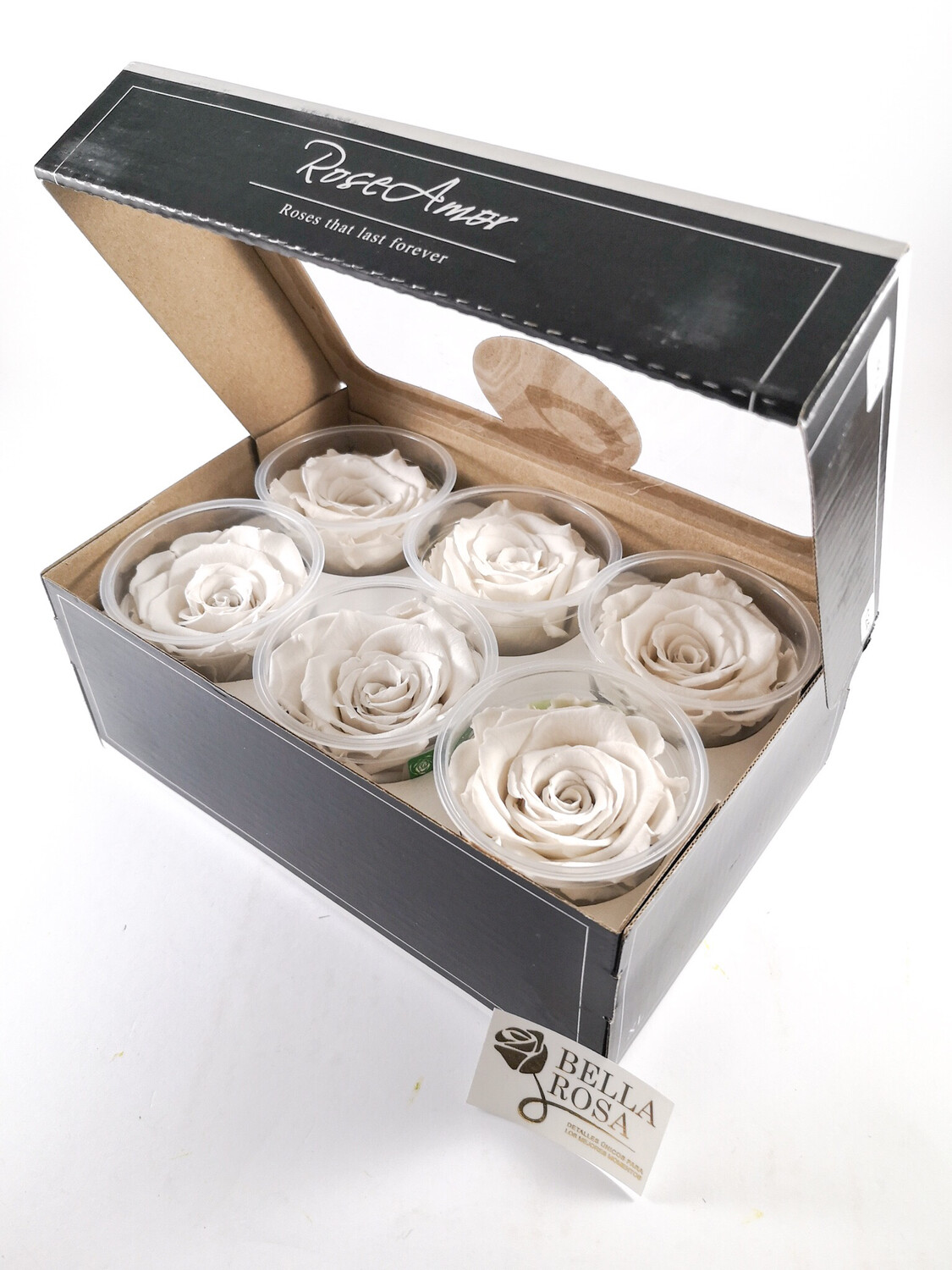 Caja con 6 rosas naturales preservadas