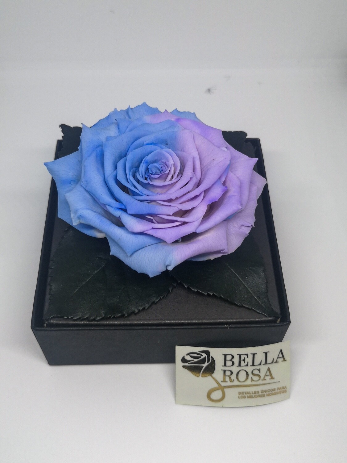 Rosa Preservada Celeste con Morado Caja Acrílica