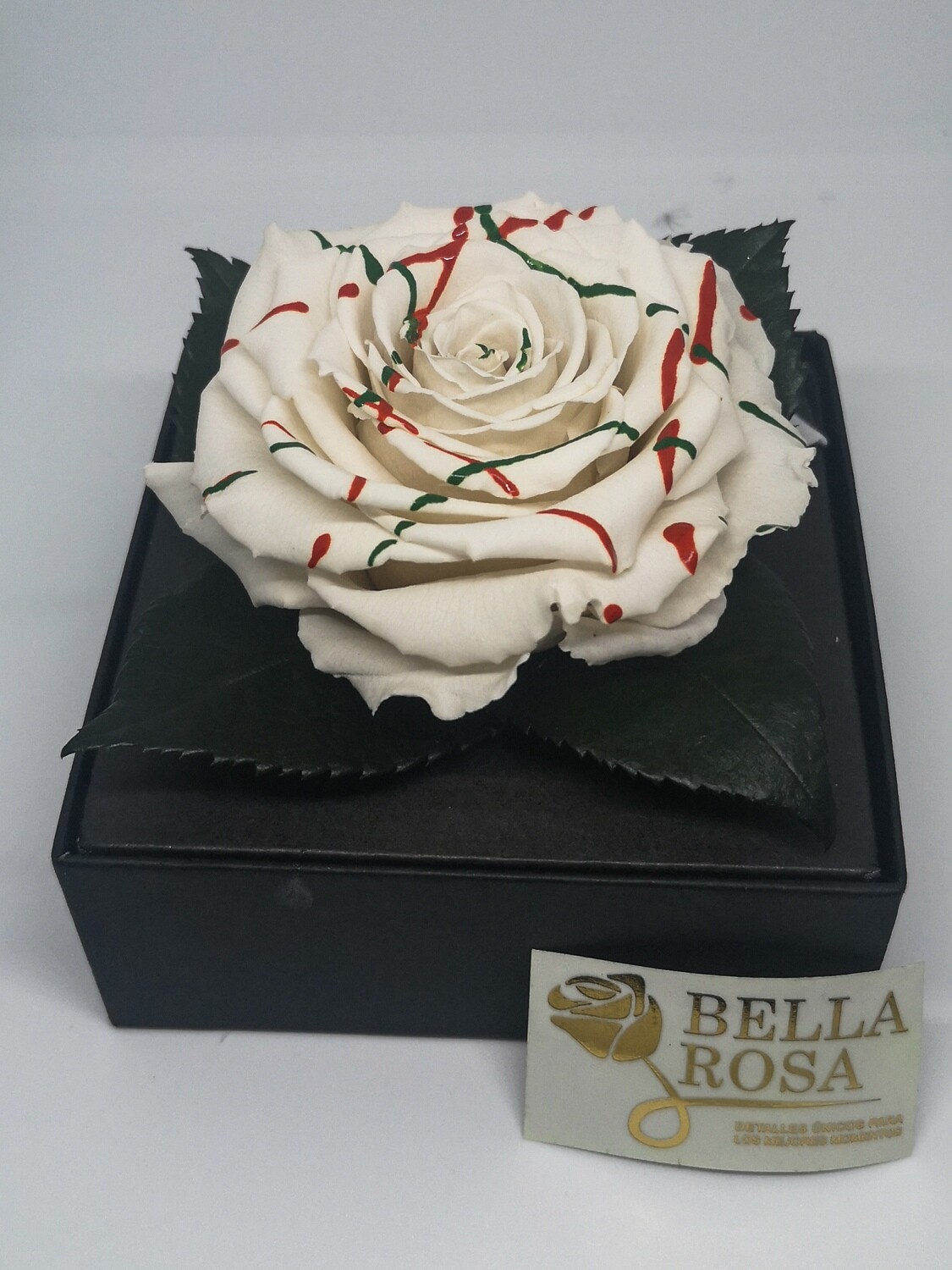Rosa Preservada Blanca con Lineas de Colores en Caja Acrílica