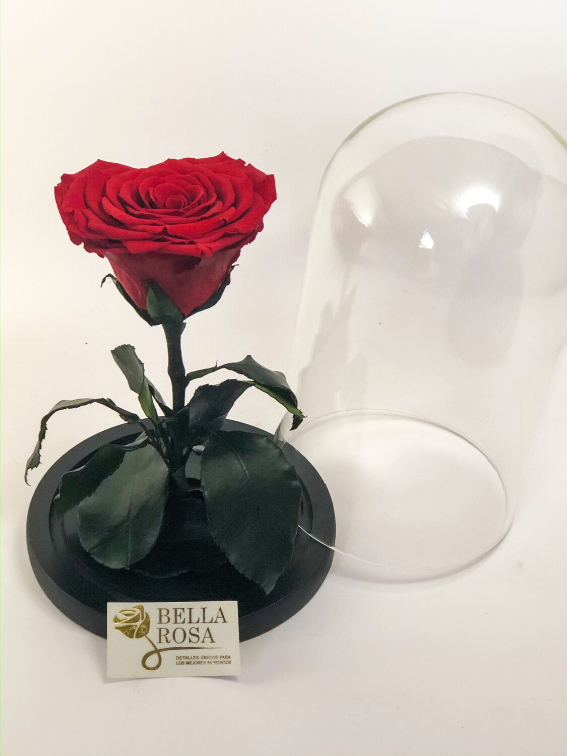 Cúpula de cristal de 21 cm con rosa natural preservada en forma de corazón