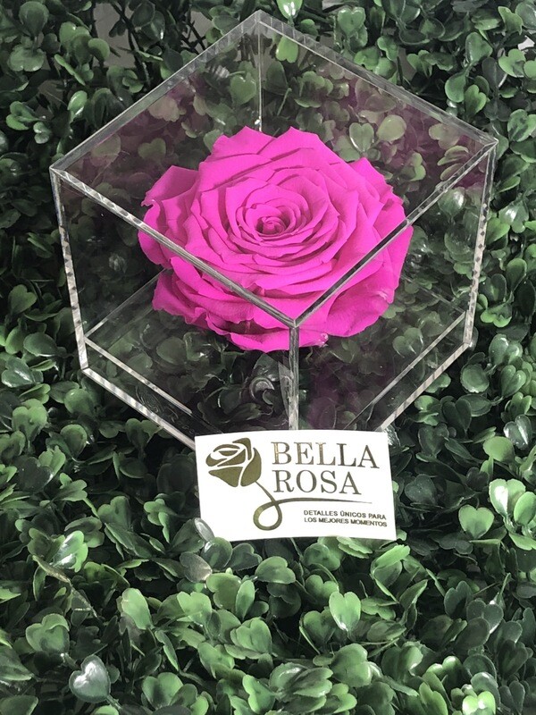 Caja acrílica fucsia 