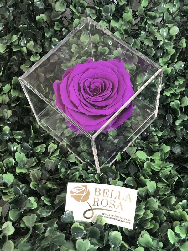 Caja acrílica morada 