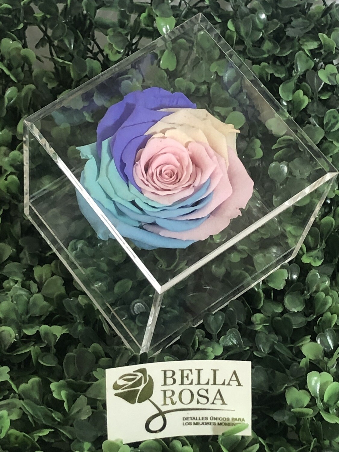Caja acrílica multicolor 
