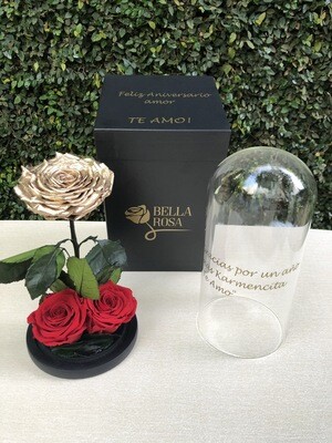Cúpula de cristal de 25 cm de alto con rosa natural preservada color gold y 2 rosas XL