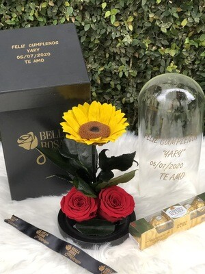 Cúpula de cristal de 25 cm de alto con 1 girasol preservado y 2 rosas, ( personalizado y caja de chocolates Ferrero adicional)