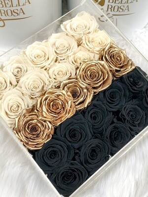 Caja Primium con 25 rosas preservadas