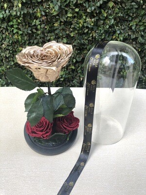 Cúpula de cristal de de 25 cm de alto. Rosa preservada en forma de corazon más dos rosas tamaño Xl
