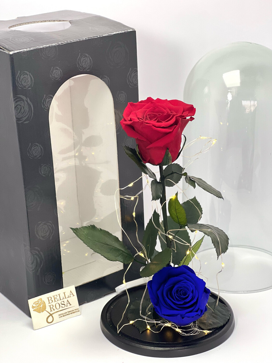 Cúpula de cristal de 27 cm de alto con 2 rosas preservadas XL