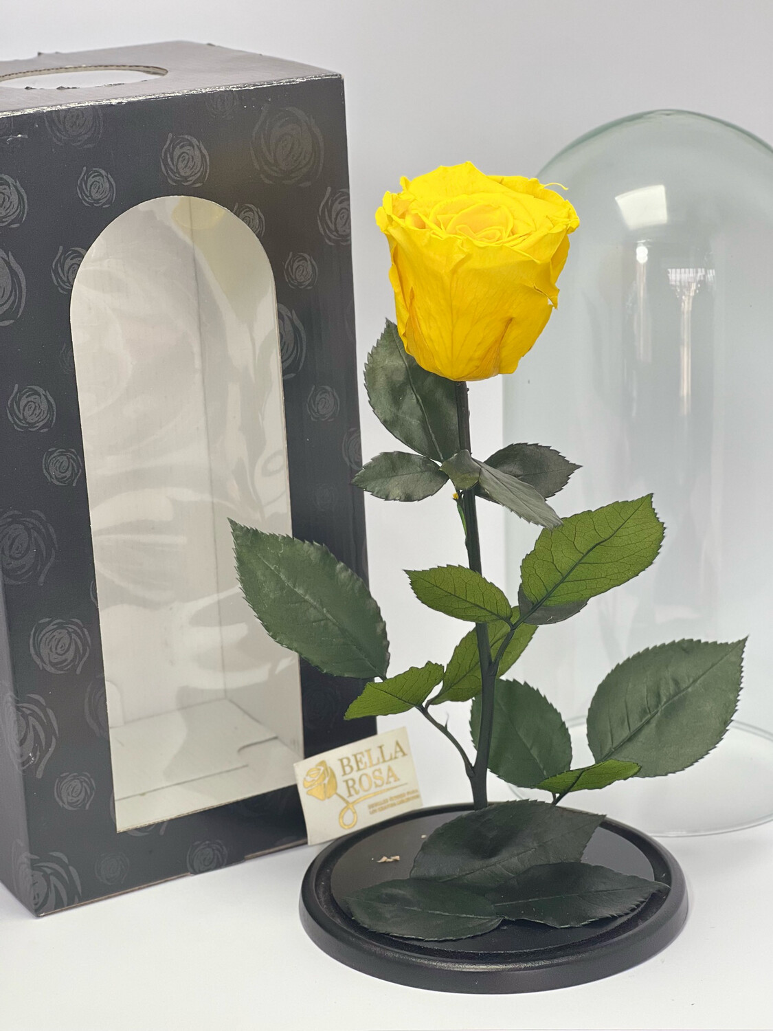 Cúpula de cristal de 27 cm de alto con una rosa preservada