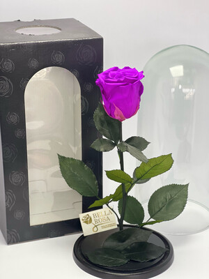 Cúpula de cristal de 27 cm de alto, con rosa natural preservada, diferentes colores a elegir