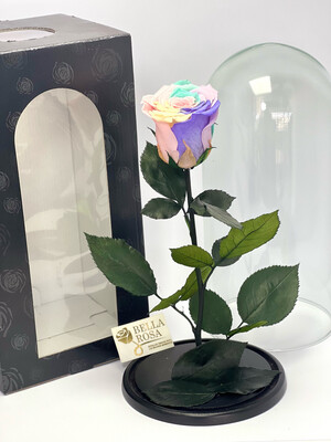 Cúpula de cristal de 27 cm de alto con rosa Candy Rainbow