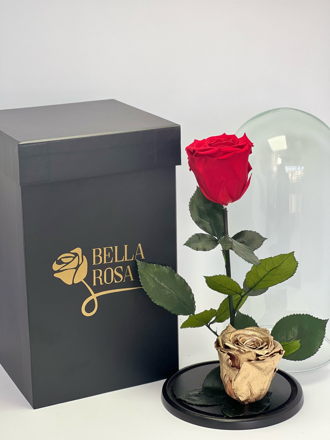Cúpula de cristal, 27 cm con 2 rosas preservadas