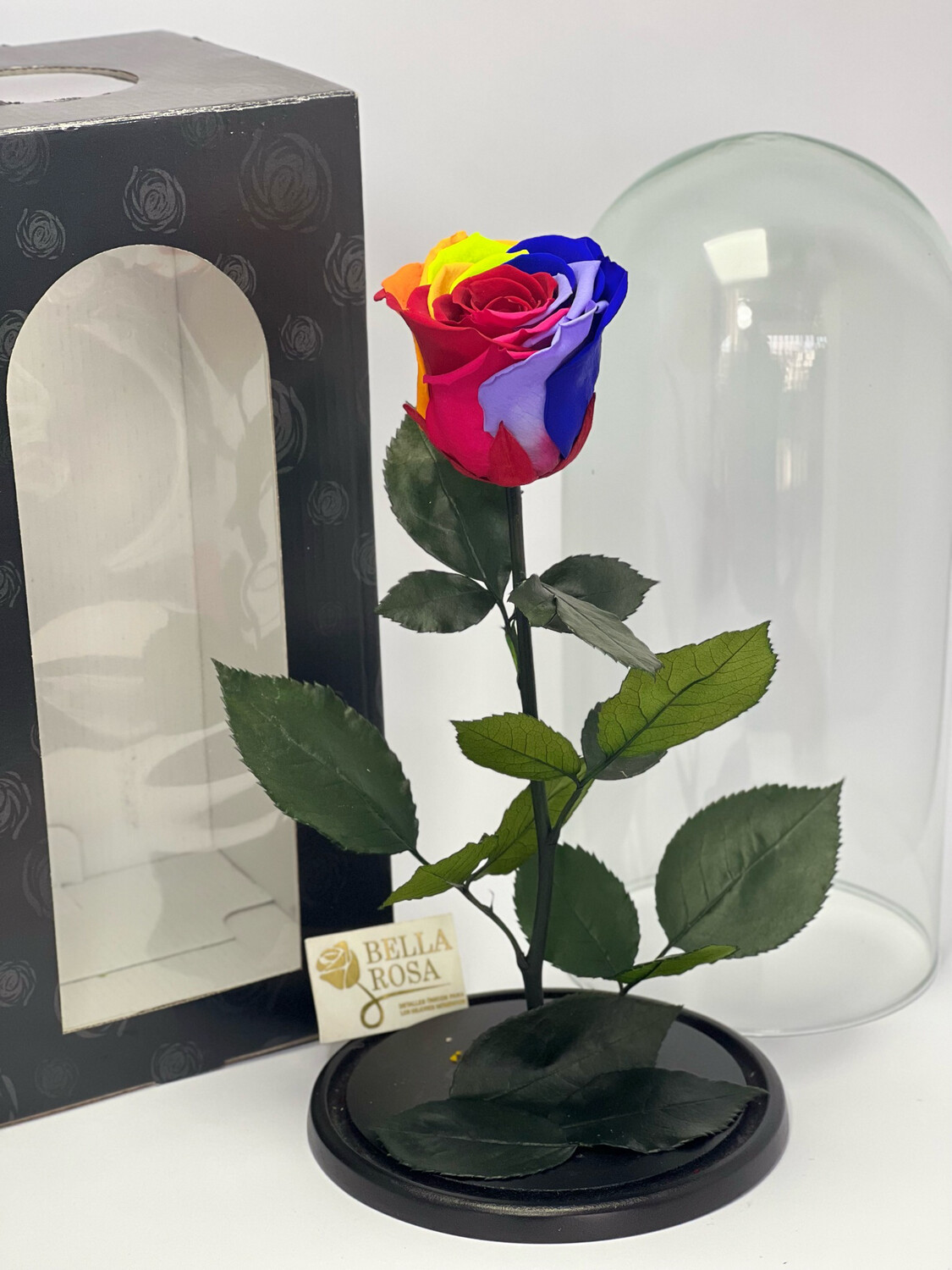 Cúpula de cristal de de 27 cm de alto con rosa natural preservada Rainbow