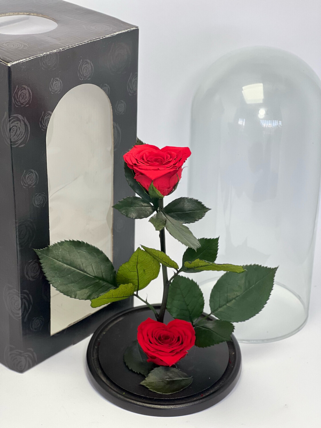 Cúpula de 27 cm con 2 rosas preservadas mini corazón