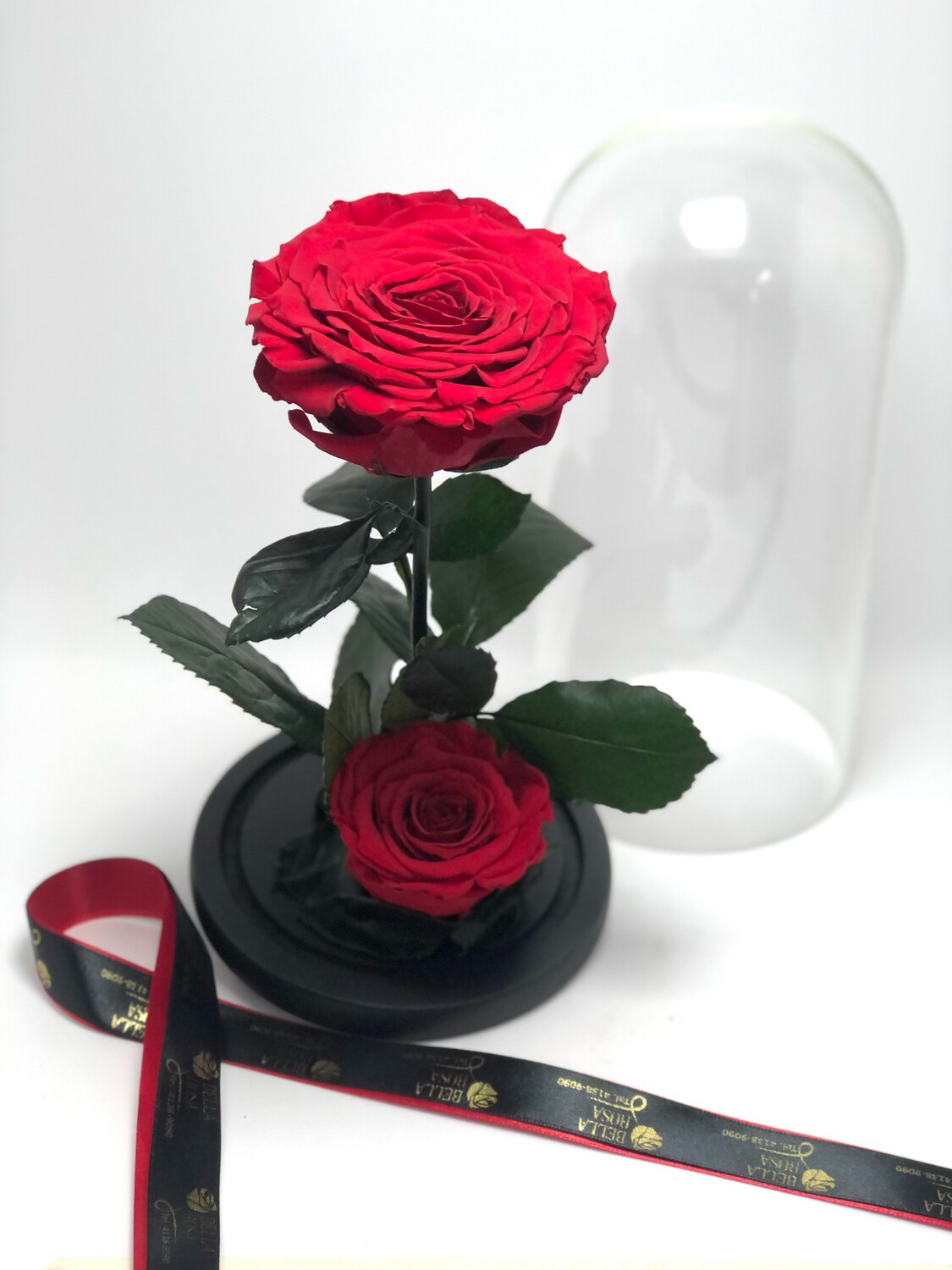 Cúpula de cristal de con 2 rosas preservadas
