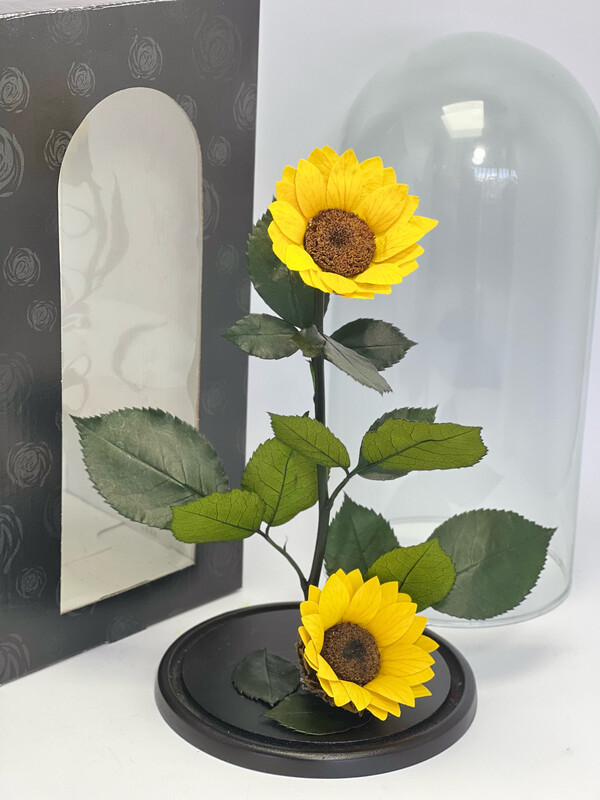Cúpula girasol