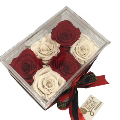 Caja Premium con 6 rosas preservadas