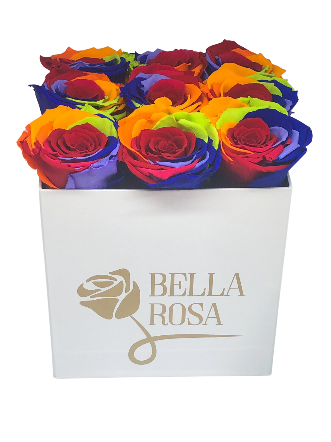 Caja con 9 rosas preservadas multicor