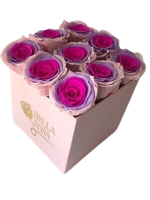 Caja cuadrada