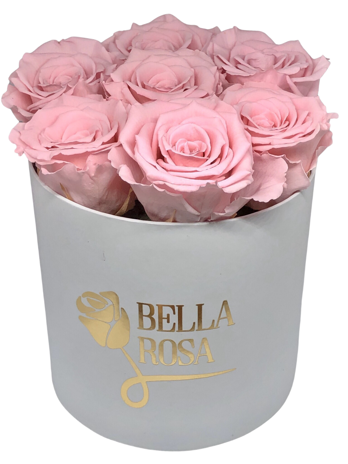 Caja redonda con 8 rosas preservada