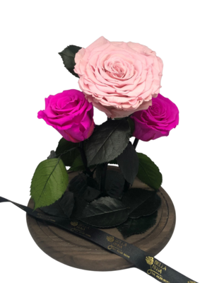 Cúpula de cristal de 30 cm de alto y 24 de circunferencia con 3 rosas preservada