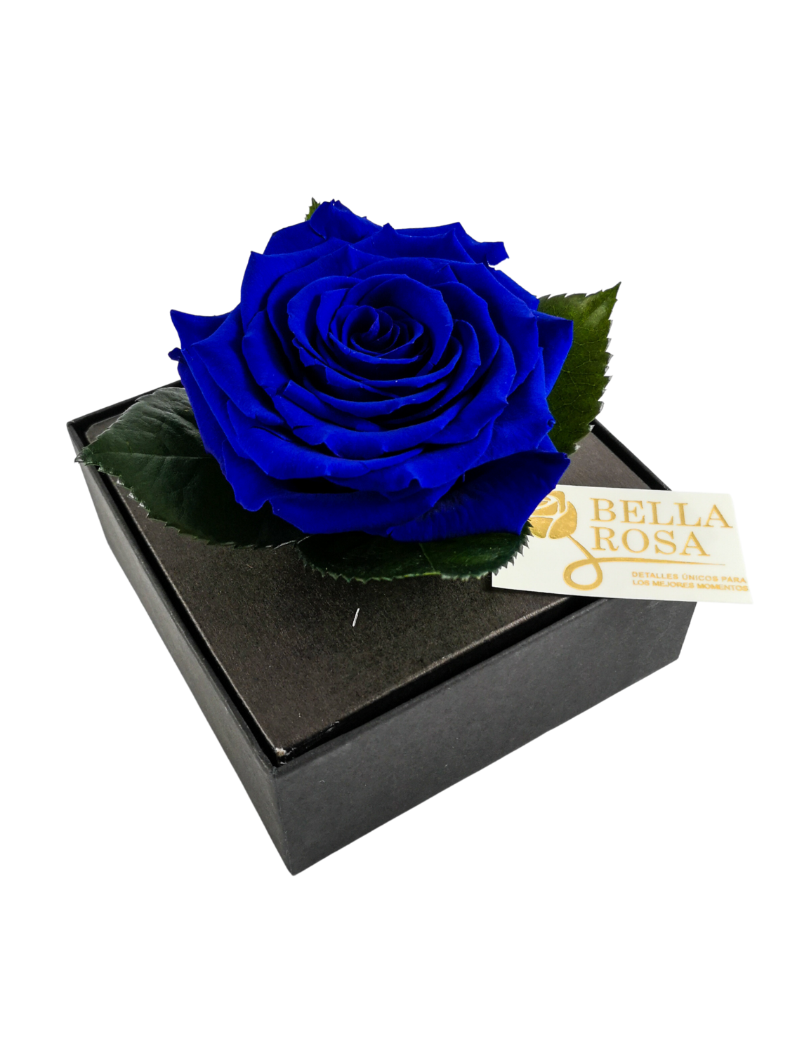 Rosa Preservada Azul Caja Acrílica