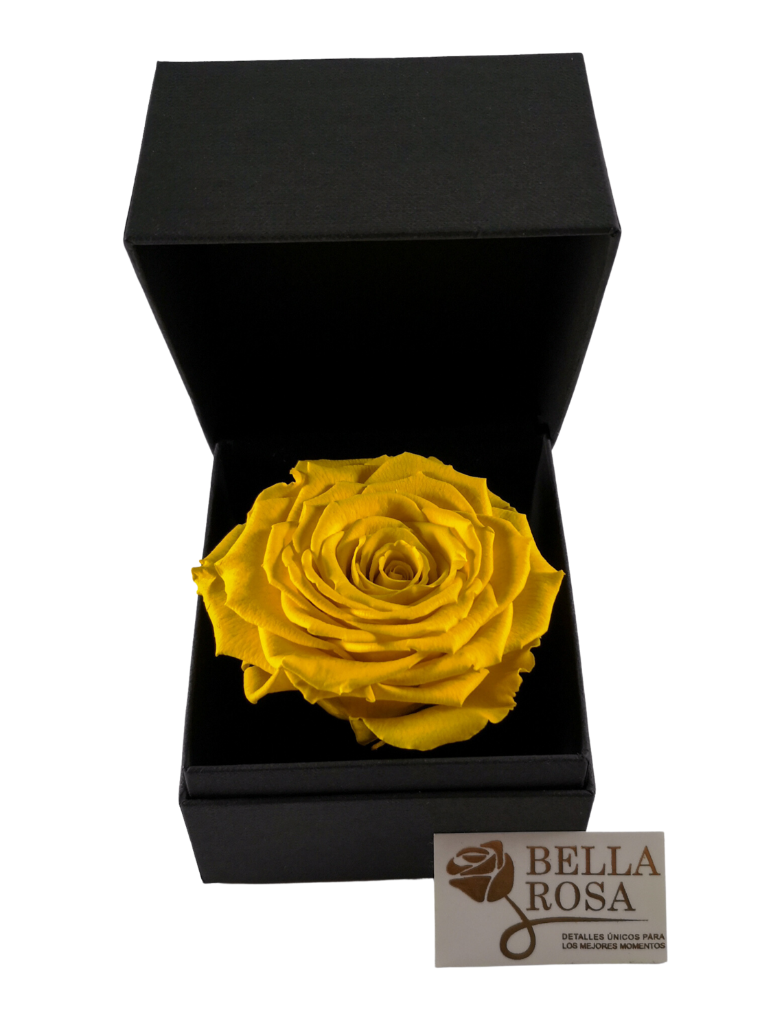 Rosa Preservada Amarilla 9 cm x8 cm, en Caja Negra Elegante 9.5x9.5 cm