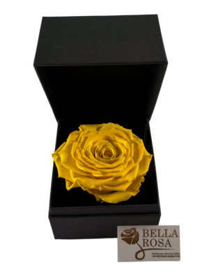 Rosa Preservada Amarilla 9 cm x8 cm, en Caja Negra Elegante 9.5x9.5 cm