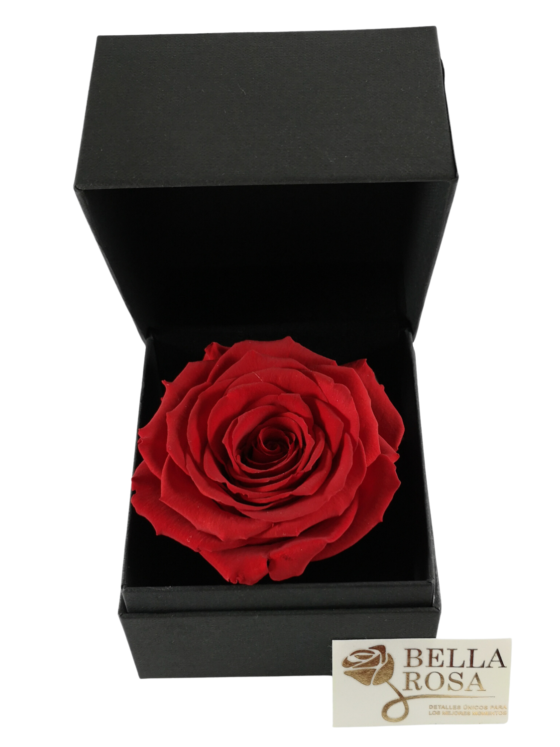 Rosa Preservada Roja ( 9.5x 9.5) en Caja Negra Elegante (9x8cm)