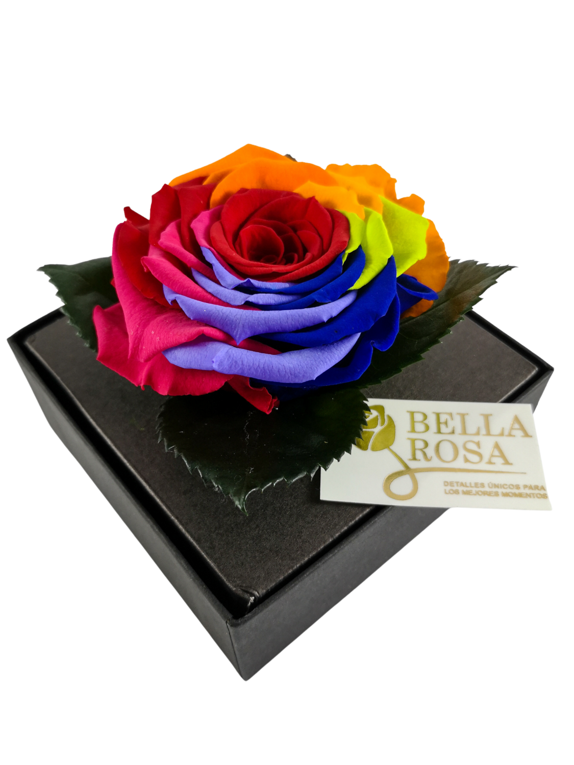 Rosa Preservada Arcoíris Caja Acrílica