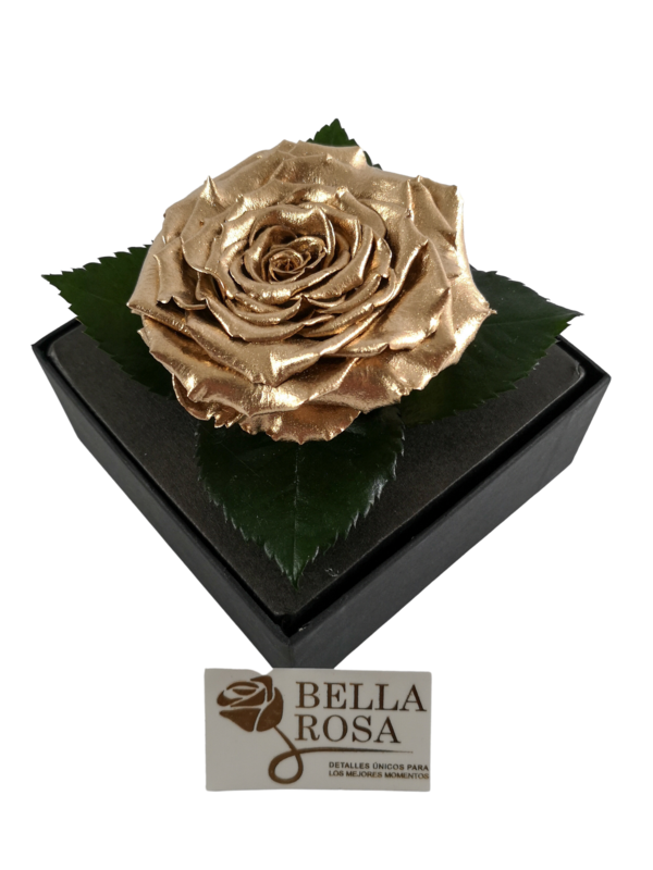 Rosa Preservada Dorada Caja Acrílica