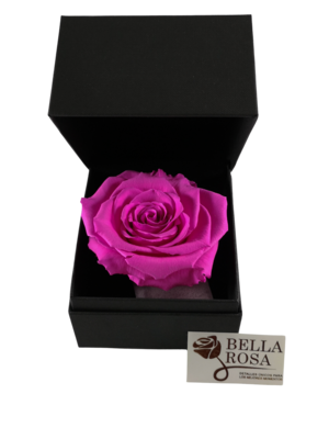 Rosa Preservada Rosada ( 9x8cm) en Caja Negra Elegante (9.5x9.5cm)