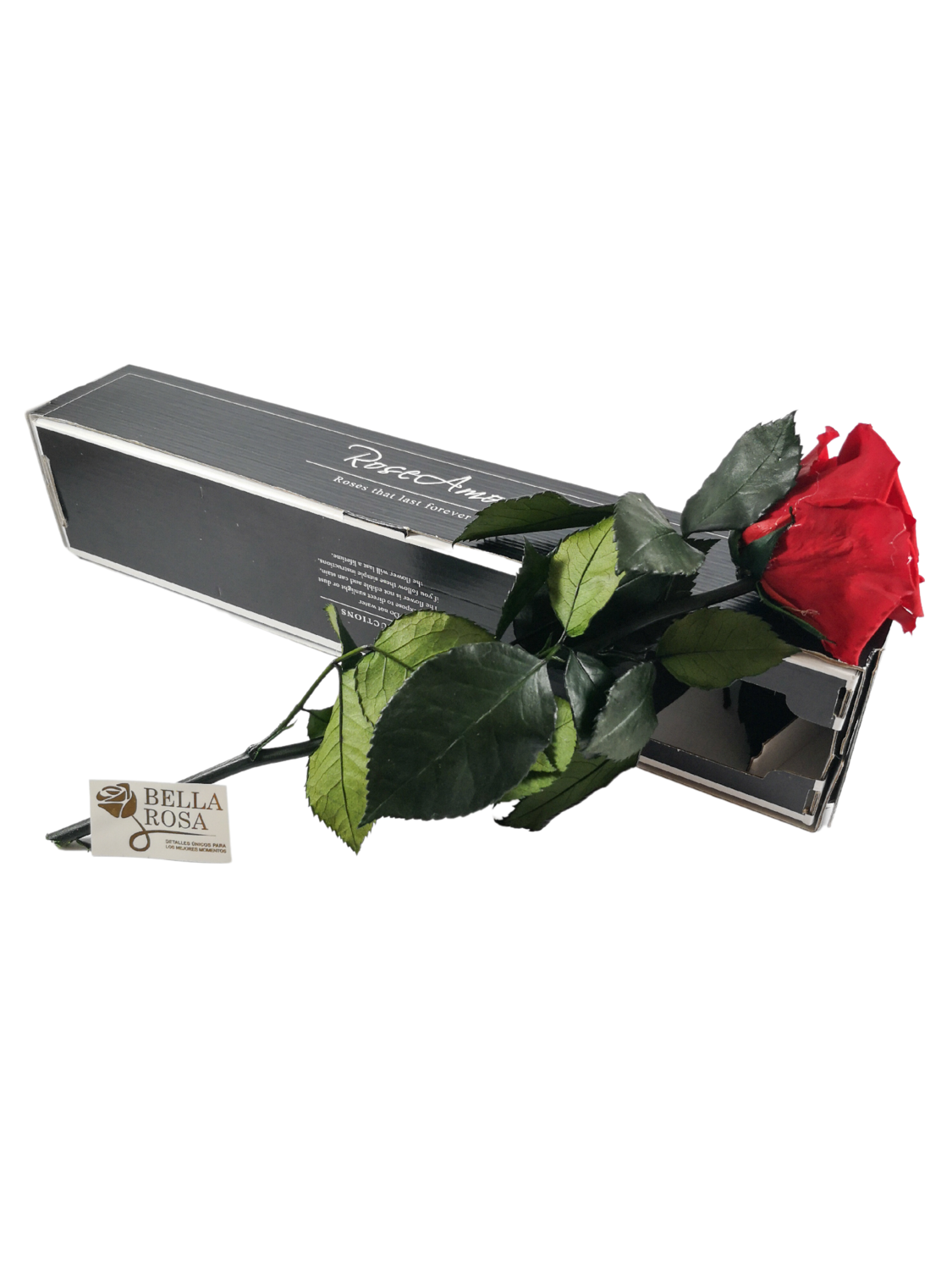 Rosa Roja Con Tallo