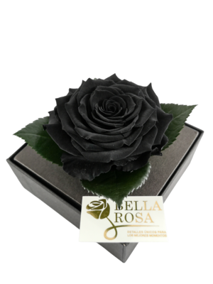 Rosa Preservada Negra Caja Acrílica