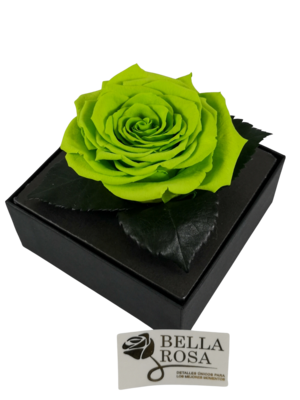 Rosa Preservada Verde Caja Acrílica