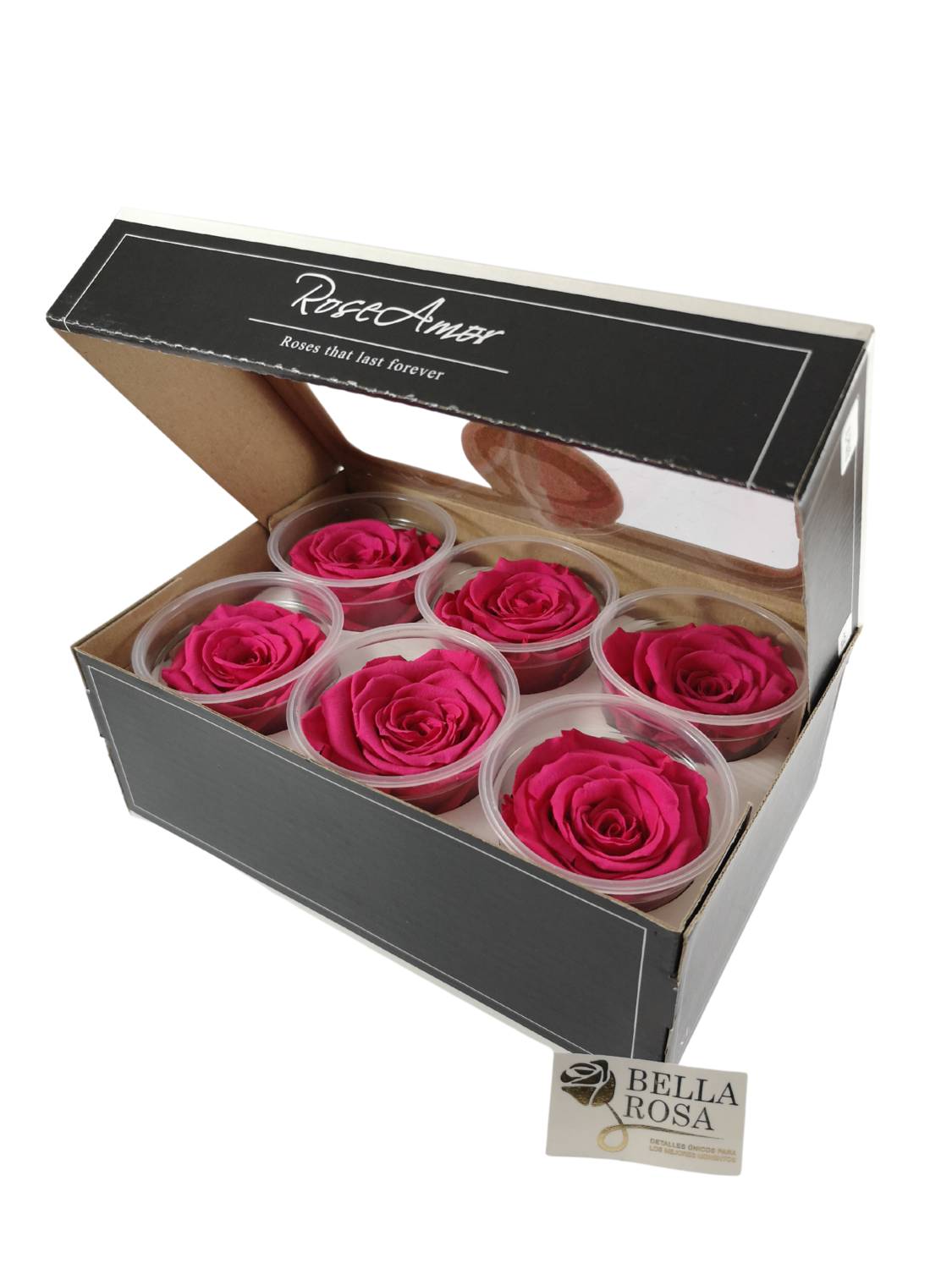 Caja de 6 Rosas Preservadas Rosadas