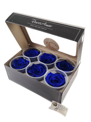 Caja de 6 rosas preservadas color azul
